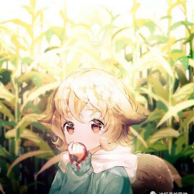老爷爷为妻子摘花 花主人改警示牌
